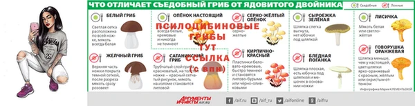 прущие крисы Алексеевка