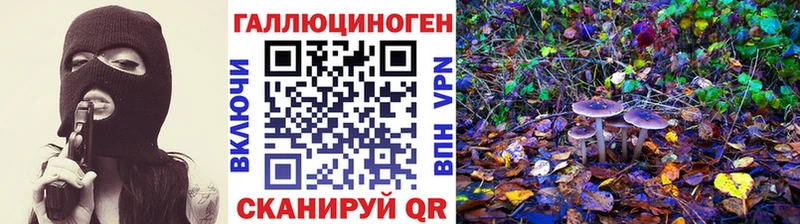 Галлюциногенные грибы Psilocybe Арзамас